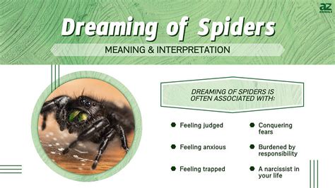 Exploring the Various Interpretations of Dreams Involving Infant Arachnids