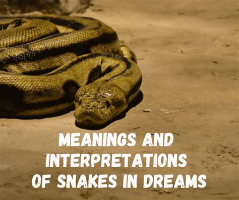 Exploring the various interpretations of a serpent in dreams
