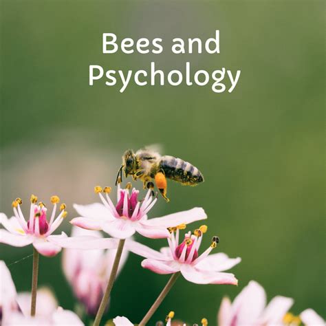 Fear and Anxiety: The Symbolic Significance of Being Pursued by Bees