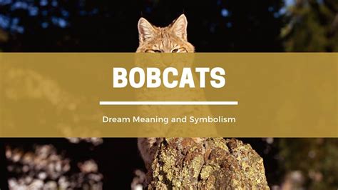Fear and Anxiety in Dreams of Pursuit by a Bobcat