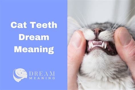 Fear of Betrayal: Exploring the Symbolism of Feline Teeth in Dreams