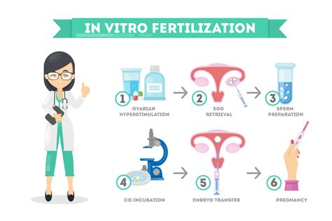 Fertility Treatments that Can Help You Achieve a Desired Multiple Pregnancy