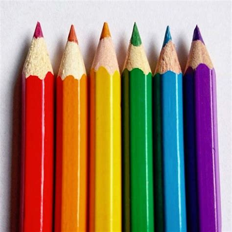 Finding Your Palette: Selecting the Perfect Dynamic Colored Pencils for Your Artistic Expedition