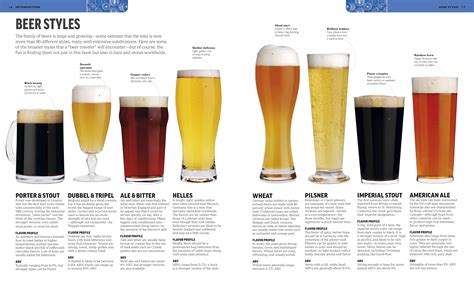 Finding Your Perfect Brew: How to Match Beer to Your Palate