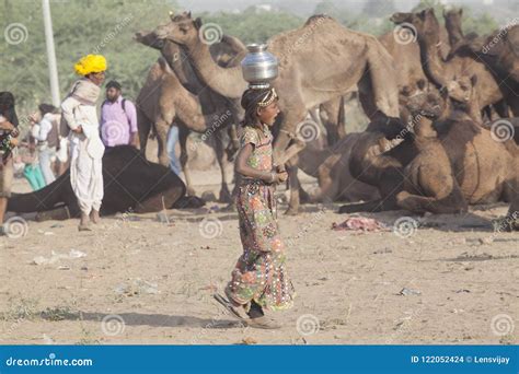 Finding a Trustworthy Camel Vendor