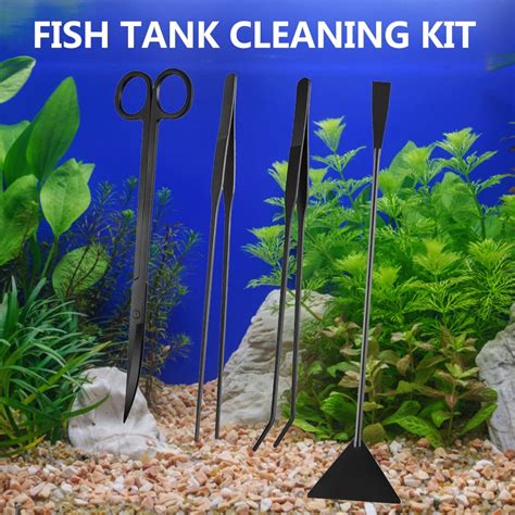 Fish Tanks as a Tool for Dream Enhancement