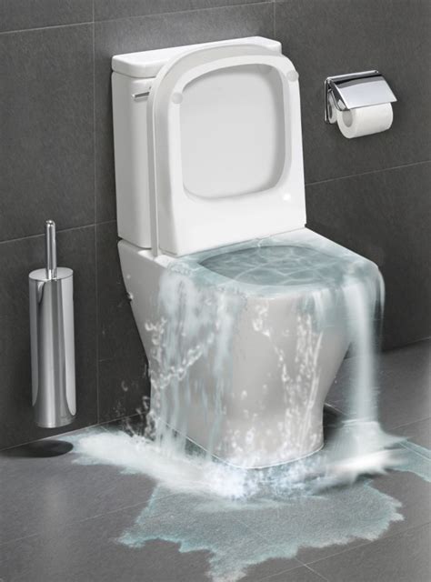 Flushing Inappropriate Materials: A Common Cause of Toilet Clogs