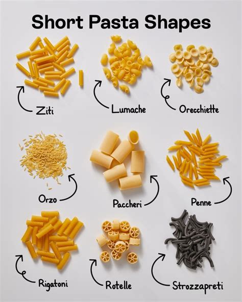 From Classic to Creative: Exploring Different Types and Shapes of Pasta