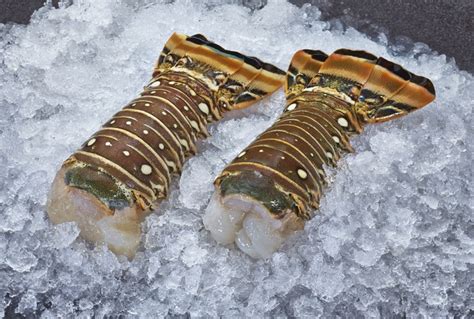 From Ocean Delicacy to Delectable Delight: Unraveling the Fascinating Journey of Lobster Tails