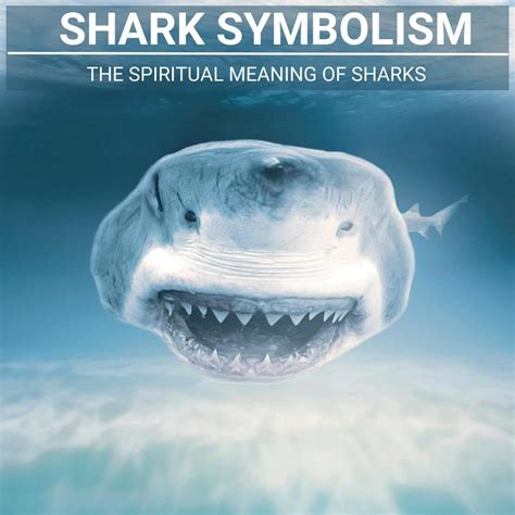 From Shoals to Sharks: Decoding the Symbolic Meaning of Various Fish Species