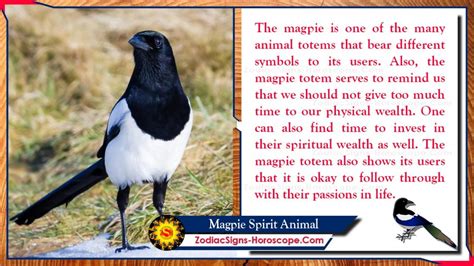 From Superstition to Symbol: The Cultural Significance of Magpies in Dreams