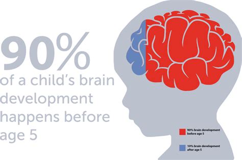 From the Beginning: The Importance of Early Experiences in Infant Brain Development
