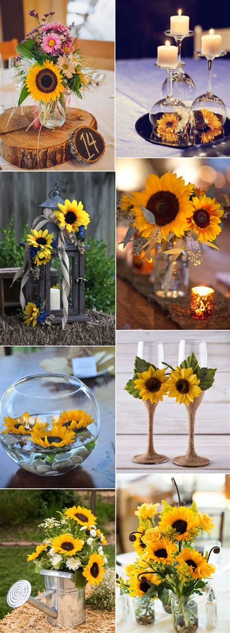 Fun and Creative Ways to Incorporate Sunflowers into Your Daily Life