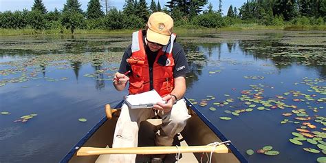 Hand Fishing: A Conservation Ally for Fish Populations