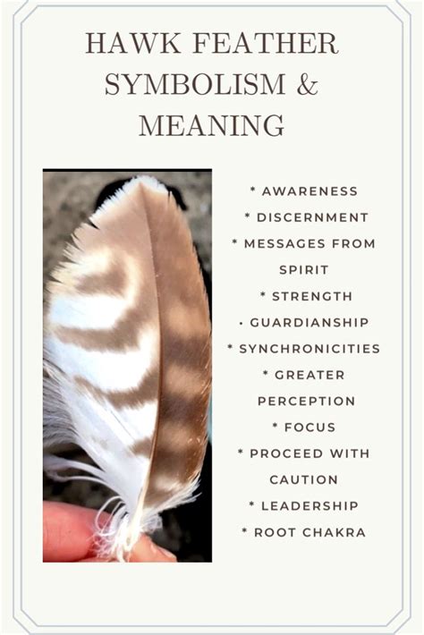 Hawk Feathers: Exploring Symbolic Meanings and Applications