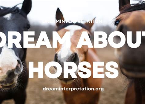 Healing and Closure: The Significance of Departed Equines in Dreams