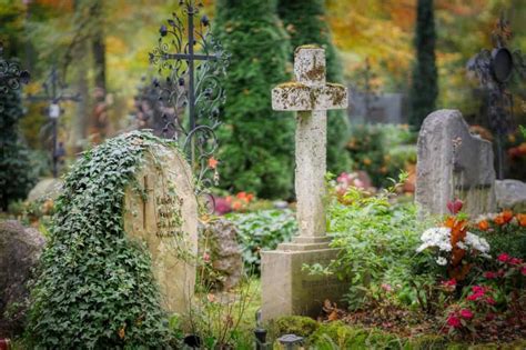 Healing and Transformation: Navigating Life Through Cemetery Dreams