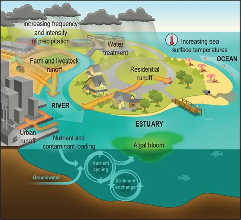 Health Risks Associated with Engaging in Water Activities in Contaminated Seaside Environment