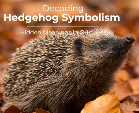 Hedgehog Symbolism: Exploring its Cultural and Historical Significance