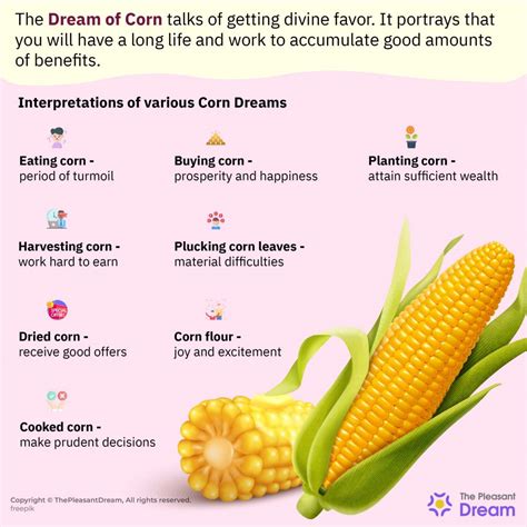 Historical Significance of Corn in Dream Interpretation