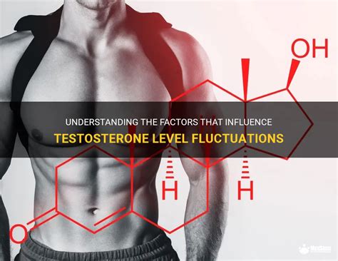 Hormonal Perspective - Understanding the Influence of Testosterone