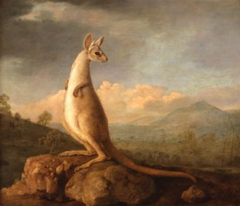 Impact on Popular Culture: Half Human Half Kangaroo in Literature and Art