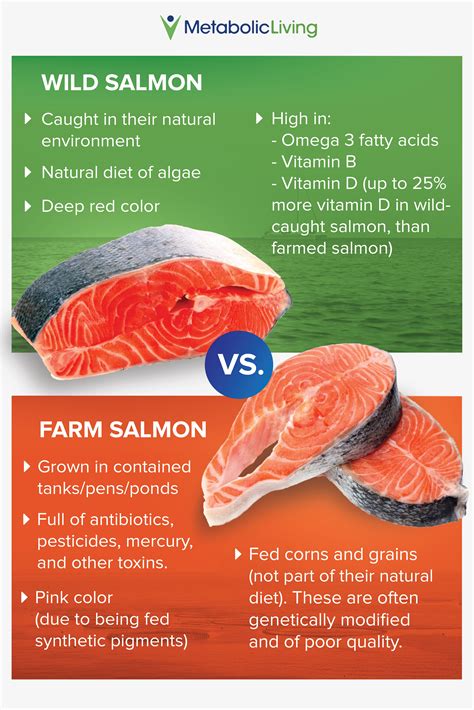 Incorporating Sustainable Practices for a Better Future: Enjoying Responsibly-Sourced Salmon