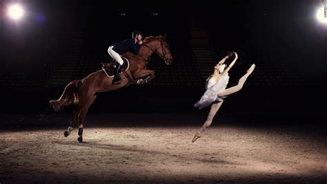 Indulge in the Enchanting Universe of Equestrian Aquatic Ballet