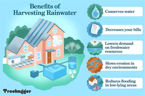 Innovative Approaches to Addressing Rainwater Pollution