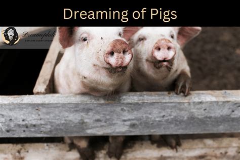 Insights into Deciphering Dreams Involving Pig Attacks