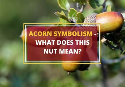 Insights into the Origins of Symbolism Associated with the Precious Nut