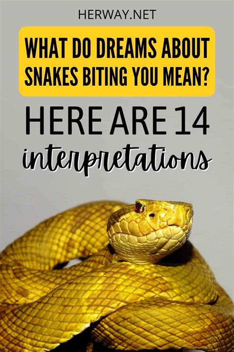 Interpreting Dreams Involving Snake Bites