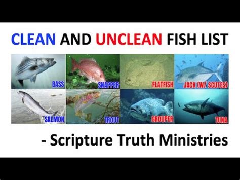 Interpreting Dreams Revealing Lifeless Fish in Unclean Water: Insights into Their Spiritual Significance