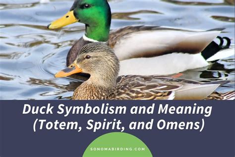 Interpreting the Dream: The Symbolic Significance of Ducks