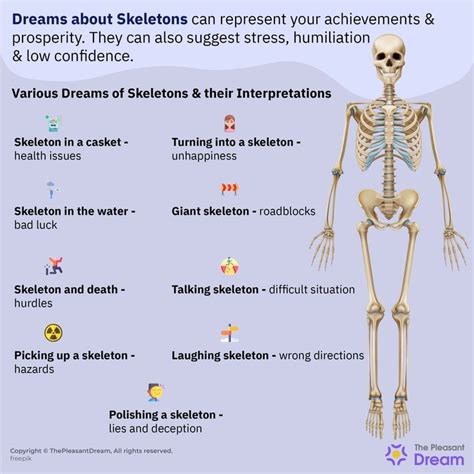Investigating the Psychological Significance of Dreaming About Human Skeletons