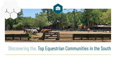 Joining the Equestrian Community: Discovering Social and Competitive Opportunities