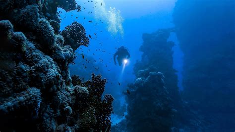 Journey of Inner Peace: Exploring the Calm Depths through Deep Sea Diving