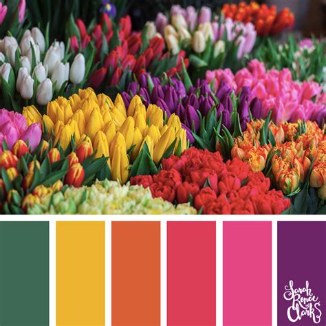 June's Floral Symphony: The Colorful Palette of Blooming Flowers