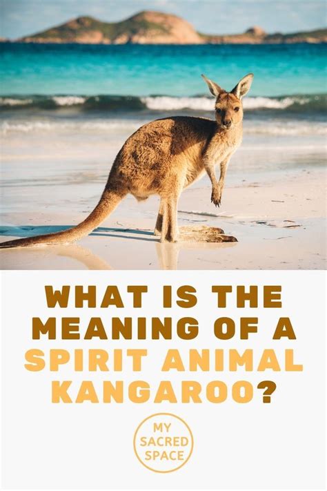 Kangaroo as a Spirit Animal: Understanding its Spiritual Significance