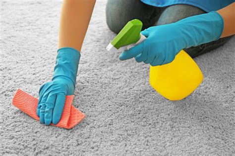 Keeping Carpets Clean: Maintenance Tips and Tricks