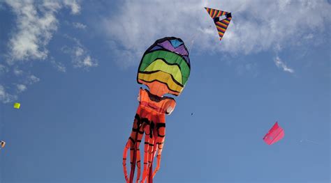 Kite Festivals: An Extravaganza of Vibrant Hues and Enchanting Amusement
