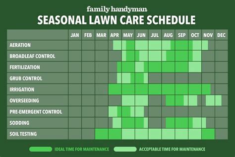 Maintaining Your Visionary Garden: Expert Insights on Lawn Care and Seasonal Maintenance