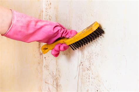 Mastering the Art of Effective Wall Cleaning
