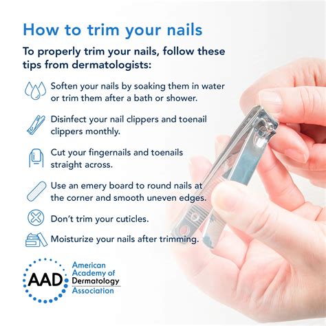 Mastering the Art of Proper Nail Trimming for Immaculate and Tidy Results