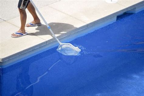 Mastering the Art of Skimming and Eliminating Debris: Essential Pool Maintenance Tips