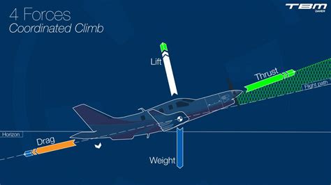 Mastering the Basics: Understanding the Principles of Flight