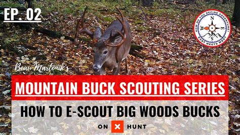 Mastering the Skill of Scouting for Bucks