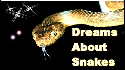 Meaning and Analysis of Snake Dreams