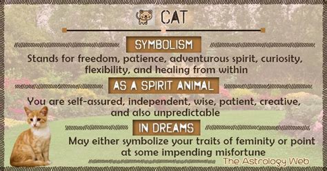 Meaning and Symbolism of Feline Departures