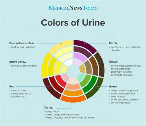 Medical Conditions That Can Lead to Dark Urine